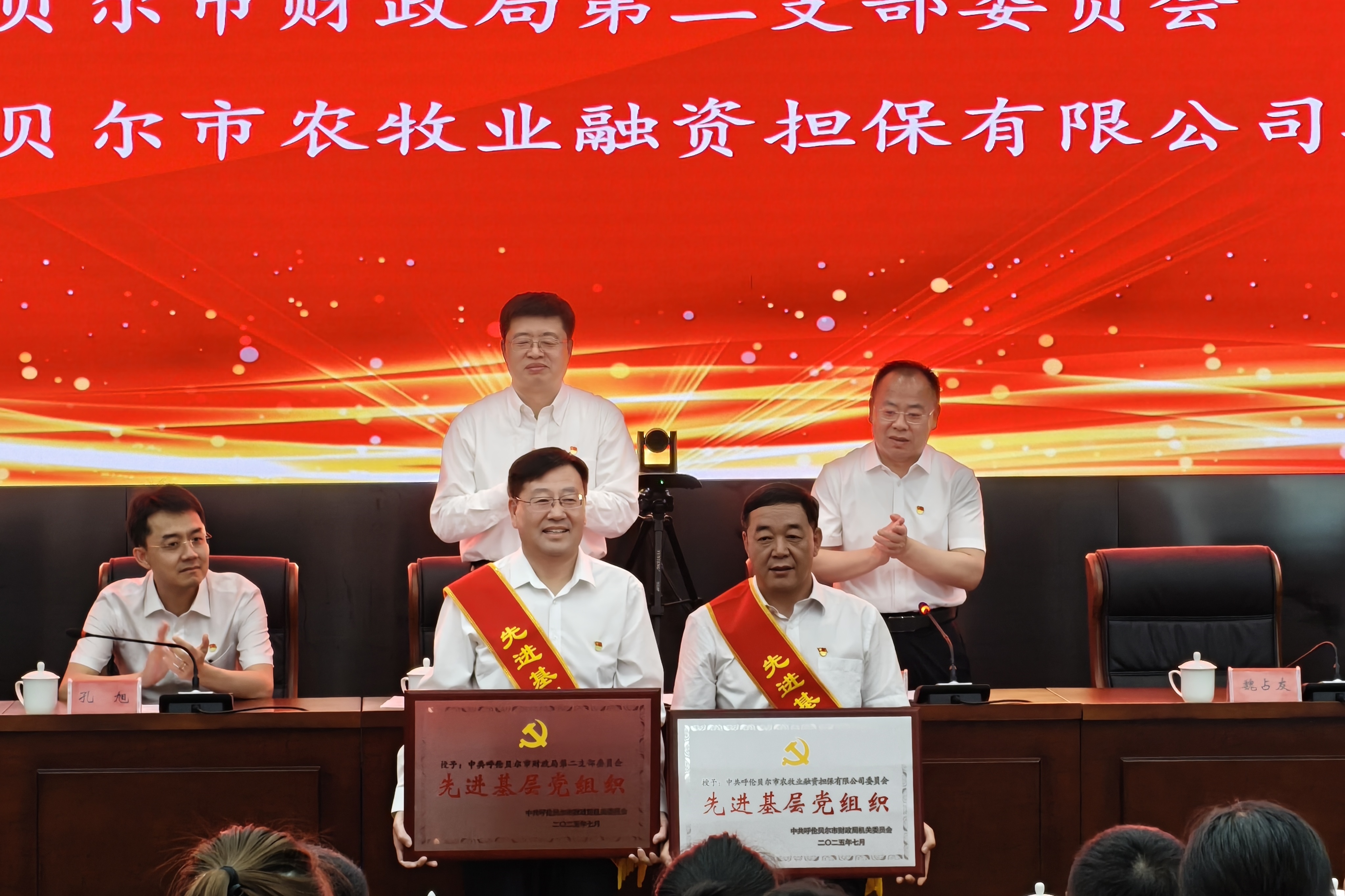 市農擔公司黨委榮獲 “先進基層黨組織” 稱號